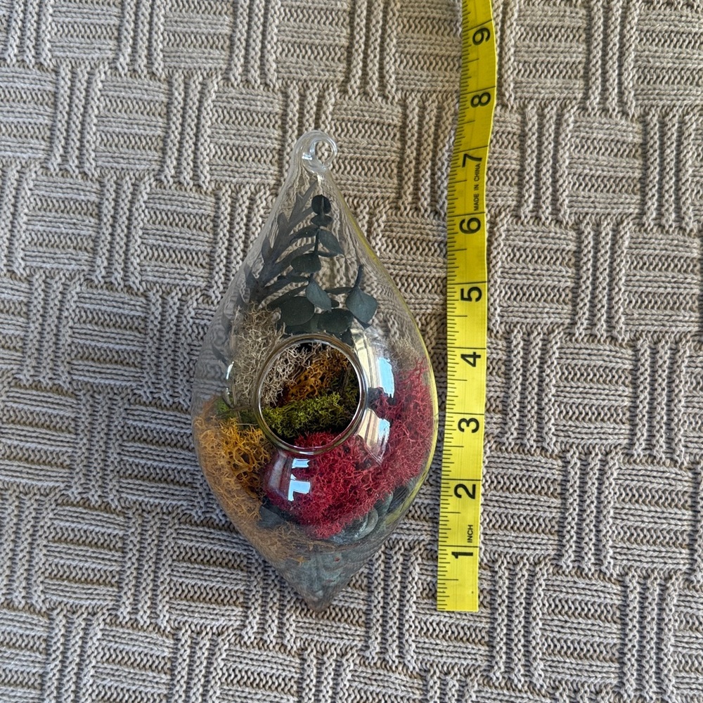 Glass Teardrop Hanging Terrarium with Red, Yellow, and Green Moss - Picture 9 of 10